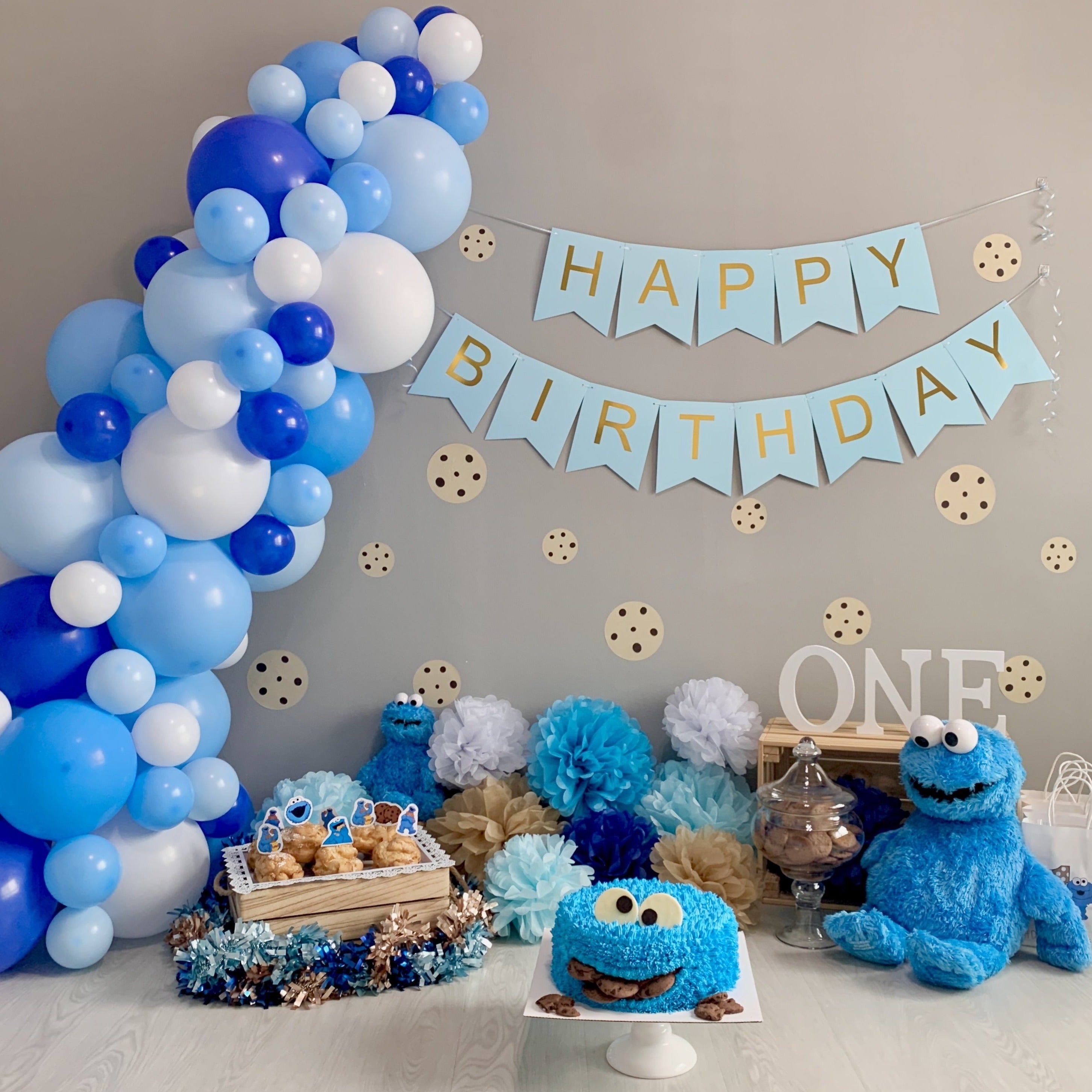 Cookie Monster Baby Photoshoot Styled Set - First Birthday, Cake Smash Celebration Decor