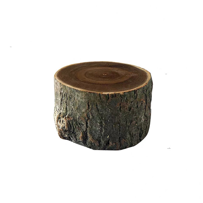Wooden Tree Stump (S)
