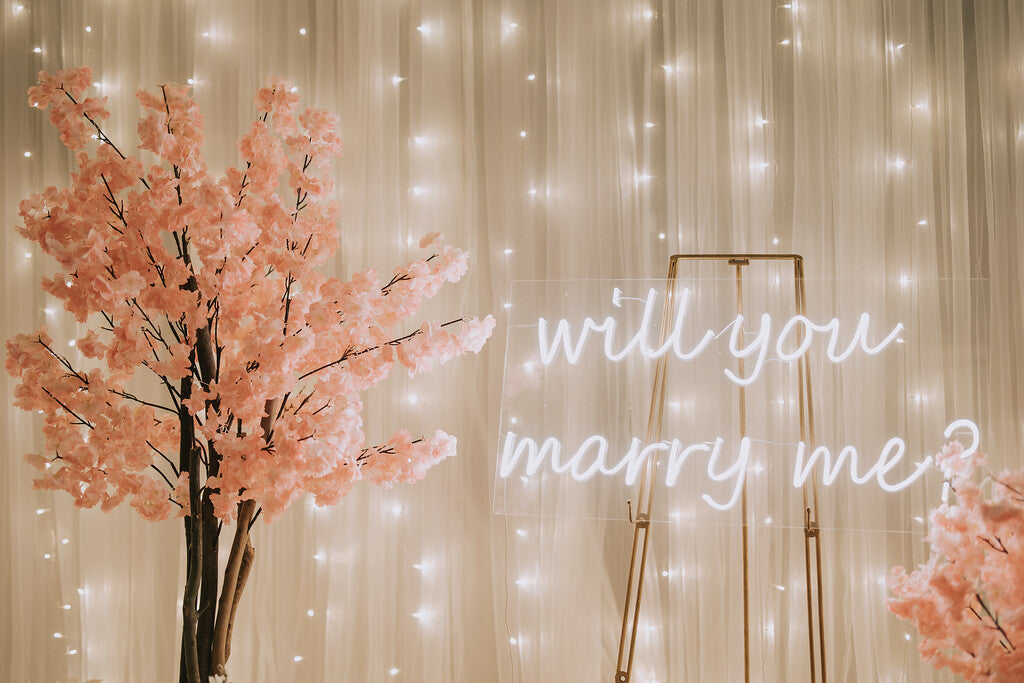 Will You Marry Me Neon Signage